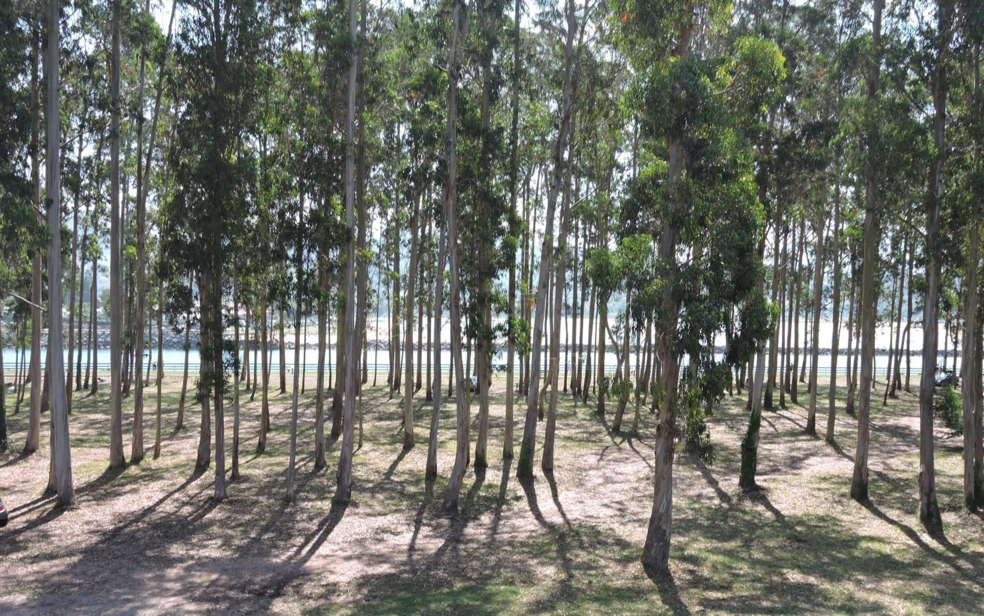 Apartamento Pie De Playa, El Puntal-Villaviciosa Villaviciosa  Luaran gambar